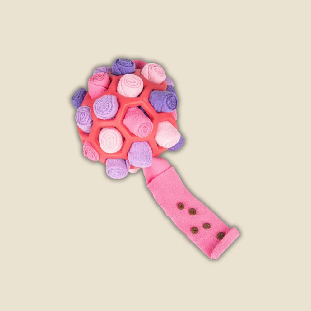 PetFuzzle SniffBall Treat Toy
