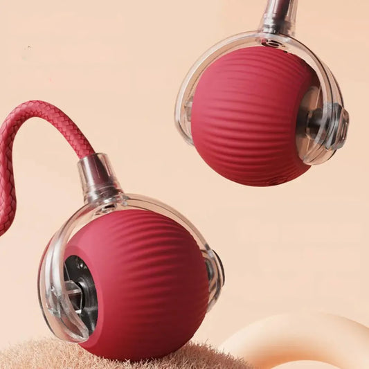 PETFUZZLE Smart Rolling Ball