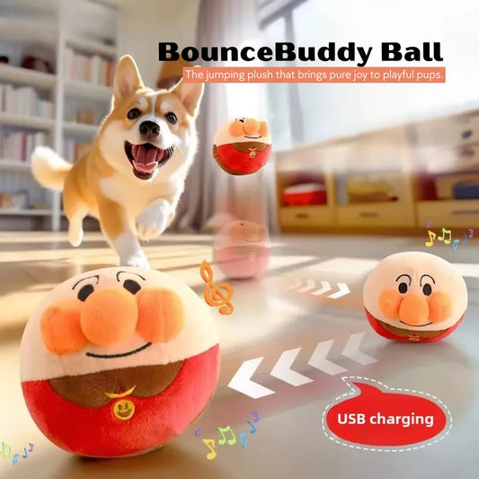 BounceBuddy Ball